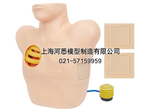 胸腔穿刺引流模型