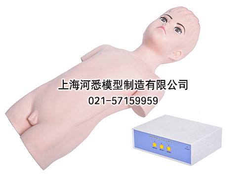 儿童胸腔穿刺训练模拟人体模型