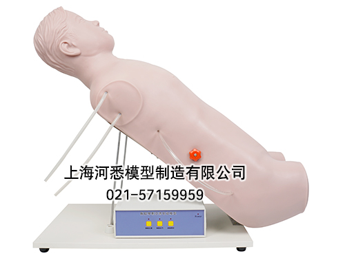 胸腔闭式引流术训练模型