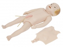婴儿全身静脉穿刺训练模型