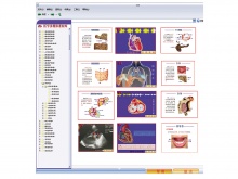 医学多媒体素材库及教学平台