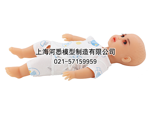 高级新生婴幼儿护理模型