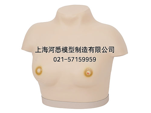 乳腺癌视诊与触诊操作模型