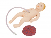新生儿脐带结扎与护理模型
