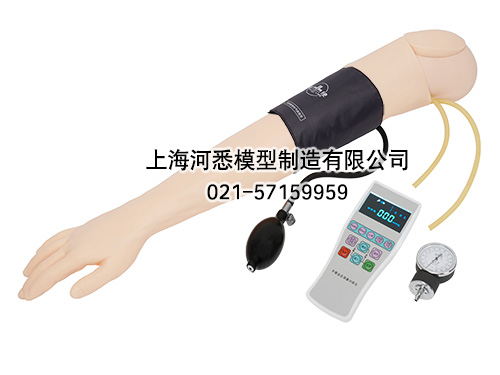 高级血压测量手臂训练模型,手臂血压测量模型