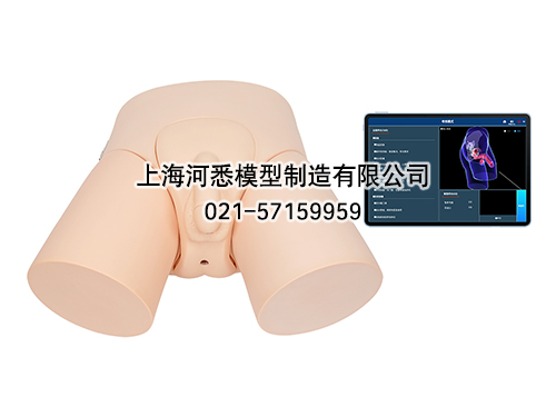 移动交互式男性导尿模型及智能模拟训练考核系统