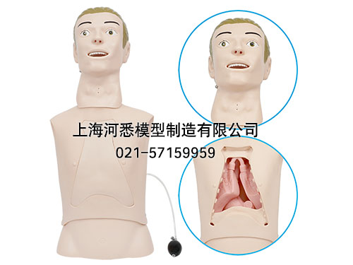 高级鼻胃管与气管护理模型,鼻饲模型