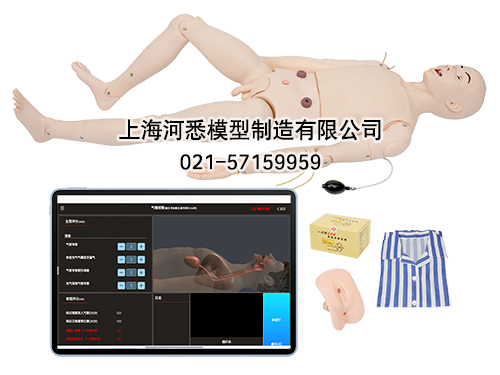 高级成人护理及CPR模型人