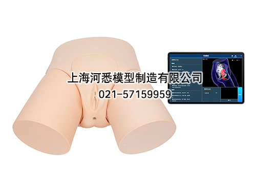 移动交互式女性导尿模型及智能模拟训练考核系统