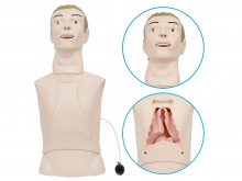 高级鼻胃管与气管护理模型（鼻饲模型）