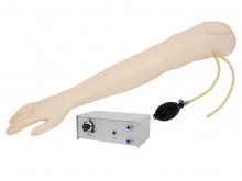 高级全功能动脉与静脉穿刺手臂模型