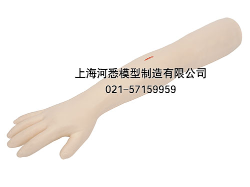 高级外科缝合手臂模型,上肢外科基本操作模型