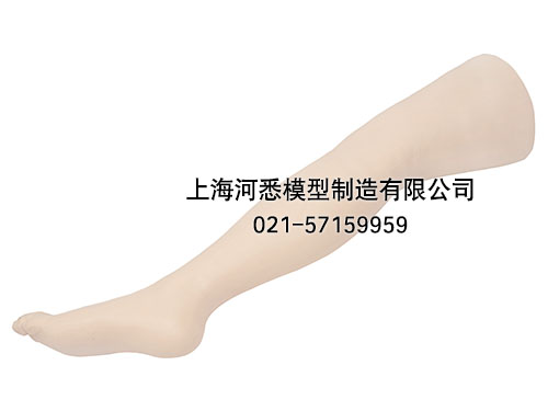 高级外科缝合练习腿模型,下肢外科基本操作模型