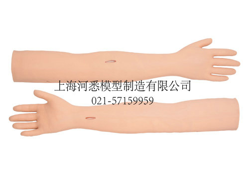 高级外科缝合手臂模型