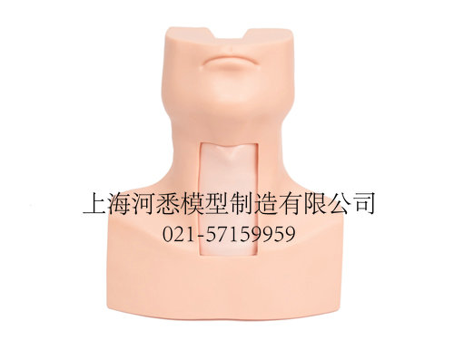 环甲膜穿刺模型