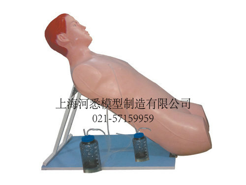 胸腔闭式引流护理训练模型