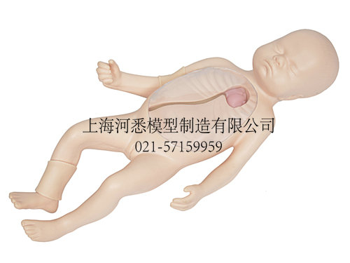 新生儿外周静脉穿刺插管术训练仿真模拟人模型