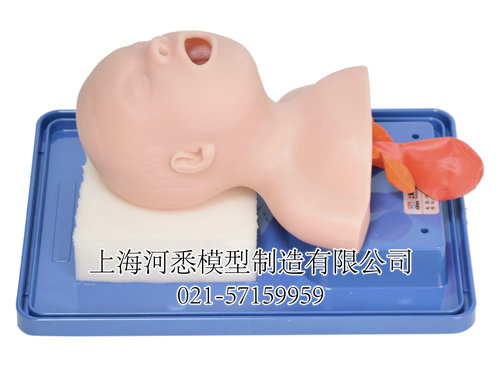 新生儿插管模型