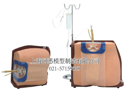 脊椎穿刺模型,脊柱穿刺模型