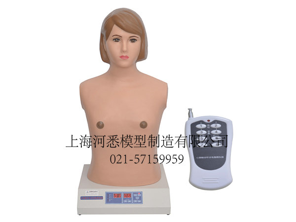 数字遥控式电脑胸部心肺听诊模拟人模型