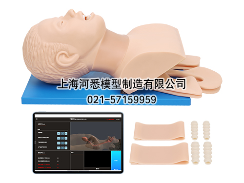 移动交互式气管插管模拟人,气管插管模型,高级气道管理模拟人