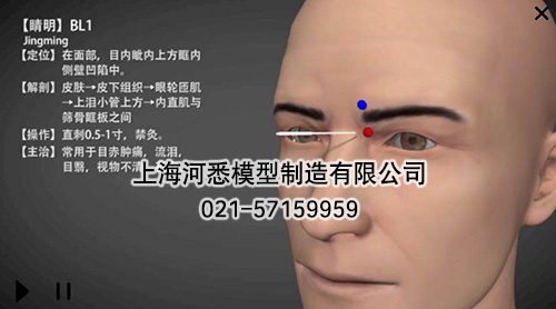 3D版多点触控中医经络腧穴解剖教学系统平台