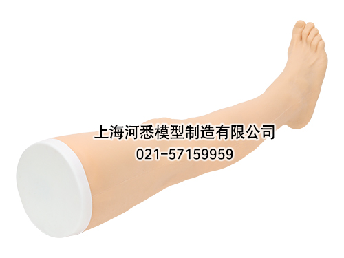 针灸腿部训练模型,下肢腿部针刺扎针练习模型