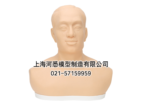 针刺针灸头部训练模型,头部针灸扎针模型