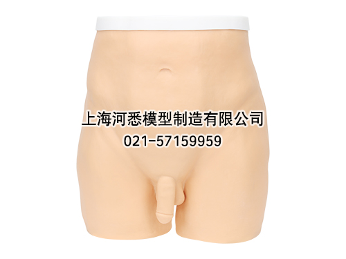 针灸臀部训练模型,臀部针灸针刺扎针练习模型