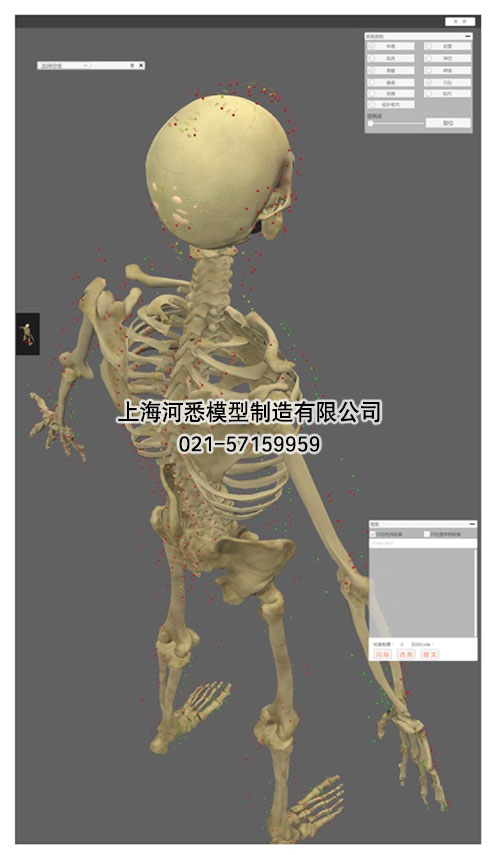 3D版多点触控中医经络腧穴解剖教学系统平台